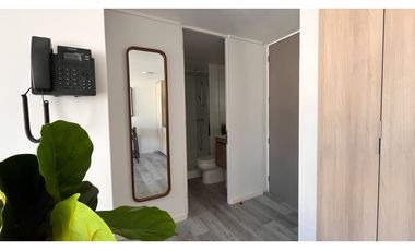 ARRIENDO METRO ÑUBLE / SARGENTO ALDEA / MAULE