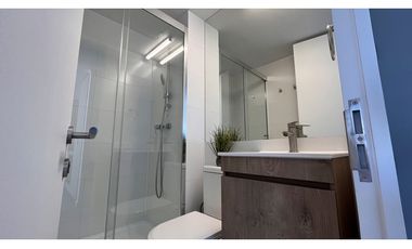 ARRIENDO METRO ÑUBLE / SARGENTO ALDEA / MAULE