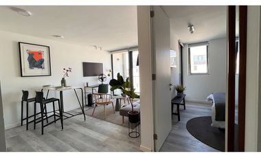 ARRIENDO METRO ÑUBLE / SARGENTO ALDEA / MAULE