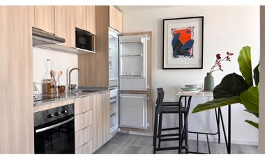 ARRIENDO METRO ÑUBLE / SARGENTO ALDEA / MAULE