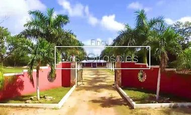 Finca amueblada en venta en Muna, Yucatán