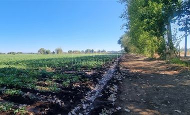 Sitio en Venta en Fundo San Jorge/ Av. Huamachuco