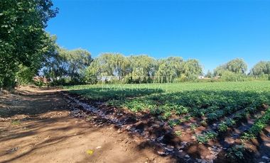 Sitio en Venta en Fundo San Jorge/ Av. Huamachuco