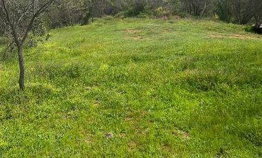 Parcela en Venta en Villa Alemana Los Naranjos