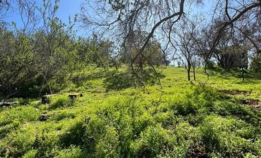 Parcela en Venta en Villa Alemana Los Naranjos
