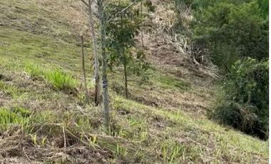 LOTE EN VENTA VÍA CONDINA/PEREIRA