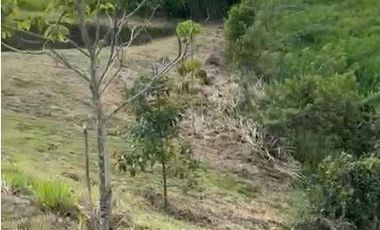 LOTE EN VENTA VÍA CONDINA/PEREIRA