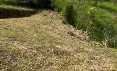 LOTE EN VENTA VÍA CONDINA/PEREIRA