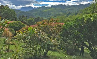 Finca en VENTA en La Vega