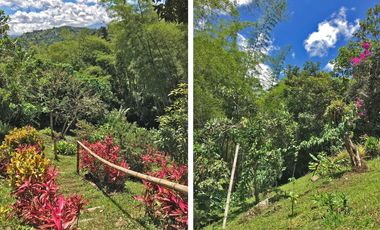 Finca en VENTA en La Vega