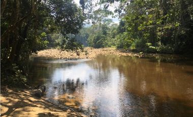 GRAN TERRENO CON CATARATA MISHKIYACU - SAN ROQUE DE CUMBAZA
