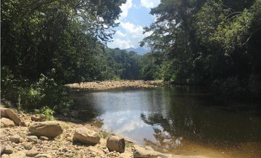 GRAN TERRENO CON CATARATA MISHKIYACU - SAN ROQUE DE CUMBAZA