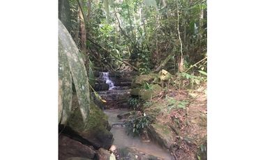 GRAN TERRENO CON CATARATA MISHKIYACU - SAN ROQUE DE CUMBAZA
