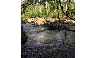 GRAN TERRENO CON CATARATA MISHKIYACU - SAN ROQUE DE CUMBAZA