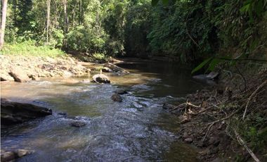 GRAN TERRENO CON CATARATA MISHKIYACU - SAN ROQUE DE CUMBAZA