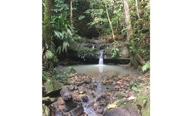 GRAN TERRENO CON CATARATA MISHKIYACU - SAN ROQUE DE CUMBAZA