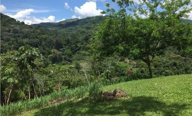 GRAN TERRENO CON CATARATA MISHKIYACU - SAN ROQUE DE CUMBAZA