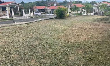 SE VENDE CASA EN LA ARENA DE CHITRE