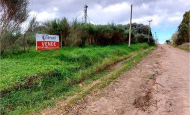 3 Lotes de 2 hectareas cada uno. Venta individual o conjunta. OTAMENDI
