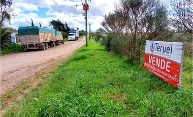 3 Lotes de 2 hectareas cada uno. Venta individual o conjunta. OTAMENDI