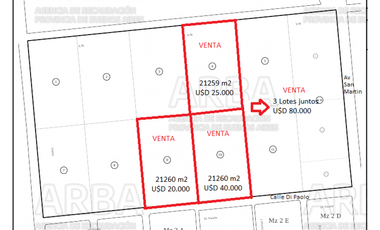 3 Lotes de 2 hectareas cada uno. Venta individual o conjunta. OTAMENDI