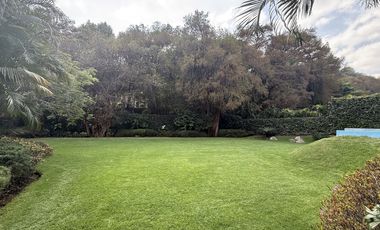 Vista Al bosque