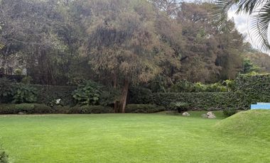 Vista Al bosque