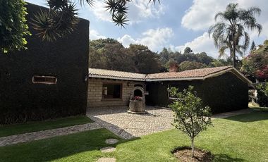 Vista Al bosque