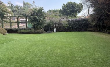 Vista Al bosque