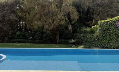 Vista Al bosque