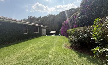 Vista Al bosque