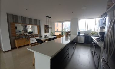 Apartamento en Arriendo Medellin Sector Poblado