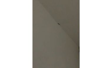 Apartamento en Arriendo en Medellín Sector Castropol