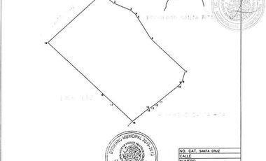 EXTENSO TERRENO EN VENTA DE 95,110 M2 (9.5 HECTÁREAS) / CTRA. HUNUCMÁ – TETIZ