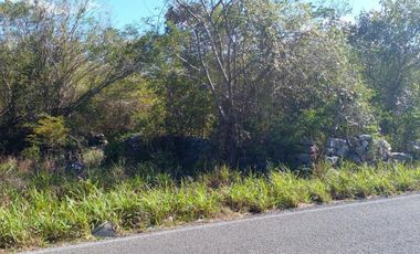 EXTENSO TERRENO EN VENTA DE 95,110 M2 (9.5 HECTÁREAS) / CTRA. HUNUCMÁ – TETIZ
