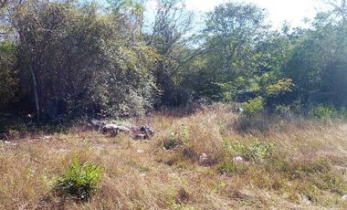 EXTENSO TERRENO EN VENTA DE 95,110 M2 (9.5 HECTÁREAS) / CTRA. HUNUCMÁ – TETIZ