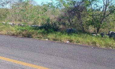 EXTENSO TERRENO EN VENTA DE 95,110 M2 (9.5 HECTÁREAS) / CTRA. HUNUCMÁ – TETIZ
