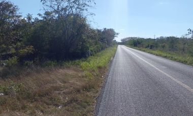EXTENSO TERRENO EN VENTA DE 95,110 M2 (9.5 HECTÁREAS) / CTRA. HUNUCMÁ – TETIZ