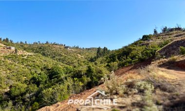 Parcela en venta en QUILPUÉ