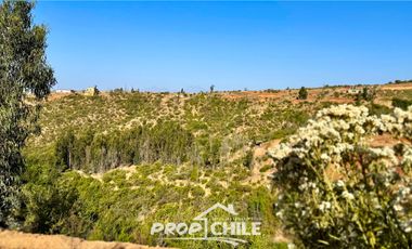 Parcela en venta en QUILPUÉ