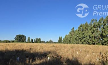 Agrícola en Venta en Huerto Patagonia