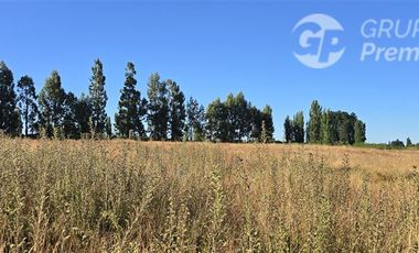 Agrícola en Venta en Huerto Patagonia