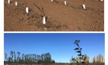 Agrícola en Venta en Huerto Patagonia