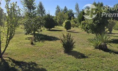 Agrícola en Venta en Camino a Villucura km 16,7