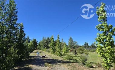 Agrícola en Venta en Camino a Villucura km 16,7