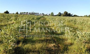 Parcela en Venta en Parcelas Capilla Zañartu - Rol Propio - Crédito Directo
