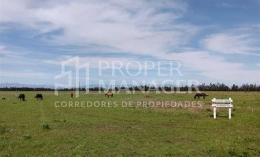 Parcela en Venta en Parcelas Capilla Zañartu - Rol Propio - Crédito Directo