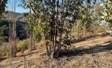 Se vende parcela en Belloto Norte Comunidad  Valle Verde Mar