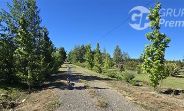Agrícola en Venta en Vivero Loicas
