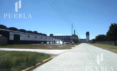 Galpón en alquiler - Quilmes